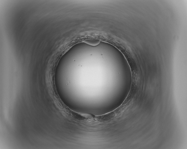 X0000112941489200908241310