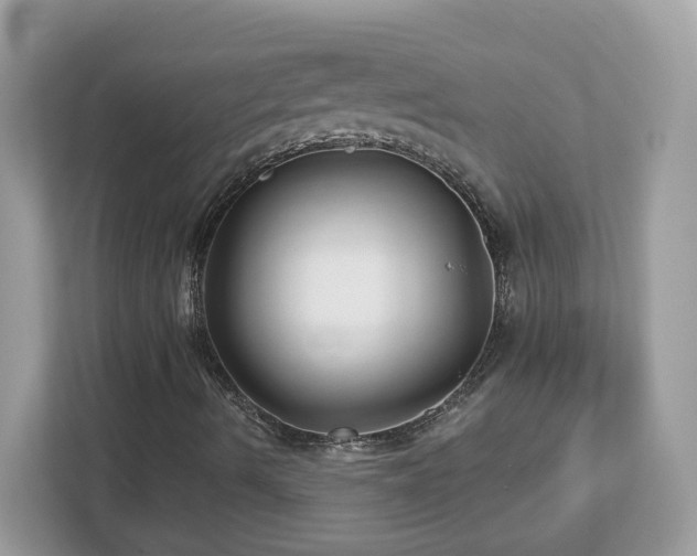 X0000112941490200908241310