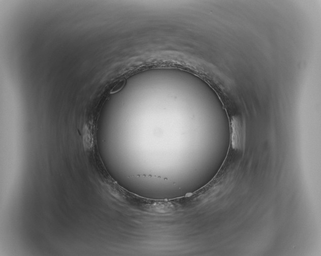 X0000112941491200908241310