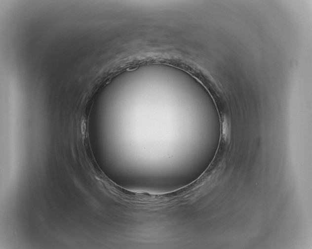 X0000112941492200908241310