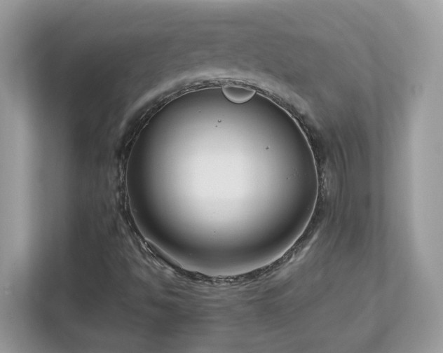 X0000112941494200908241310