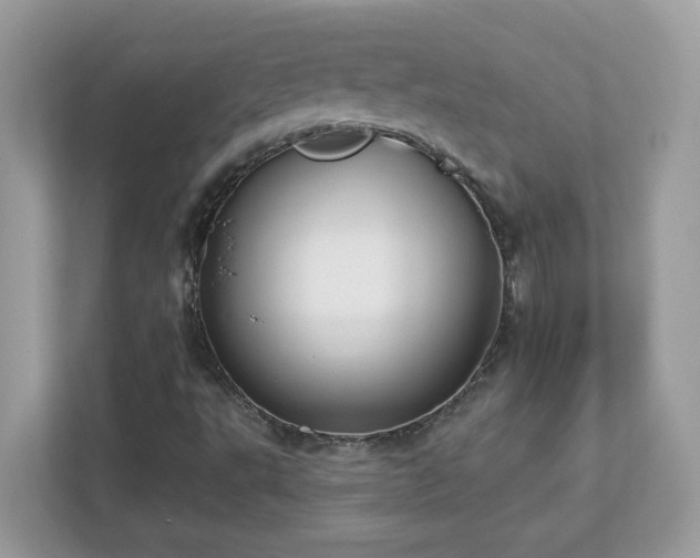 X0000112941495200908241310