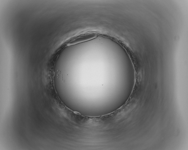 X0000112941496200908241310