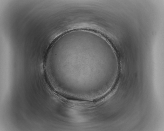 X0000112941497200908241310