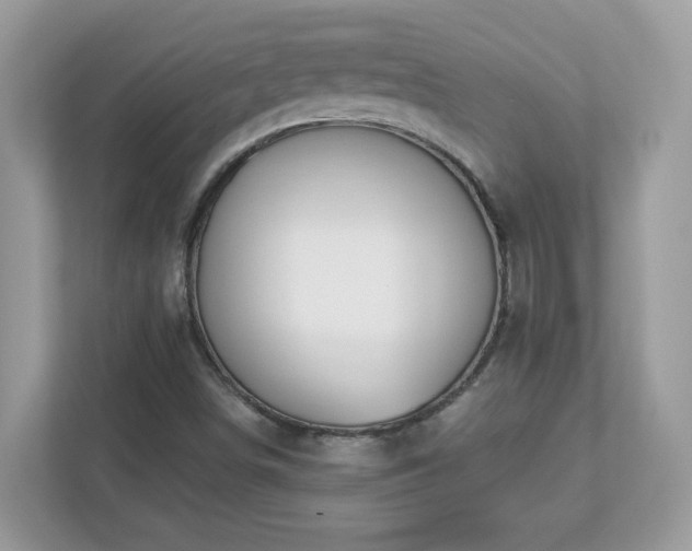 X0000112941498200908241310