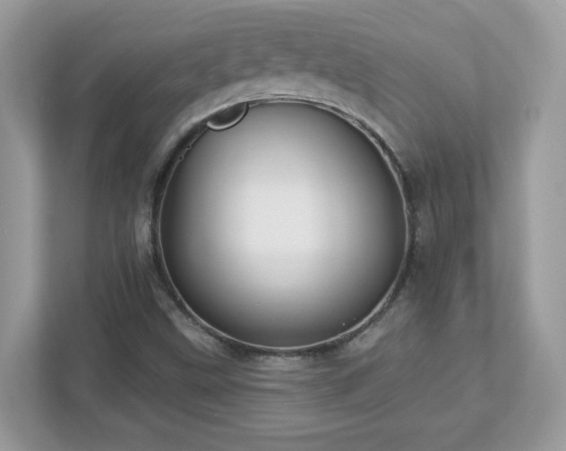 X0000112941499200908241310