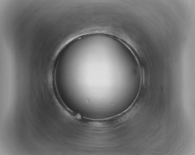 X0000112941500200908241310