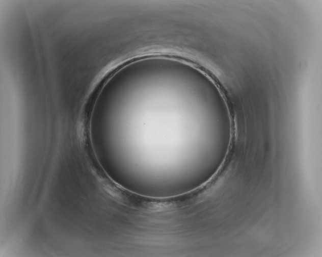 X0000112941501200908241310