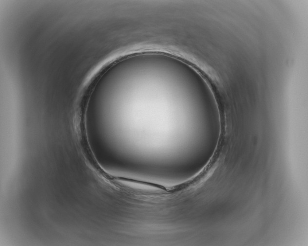 X0000112941502200908241310