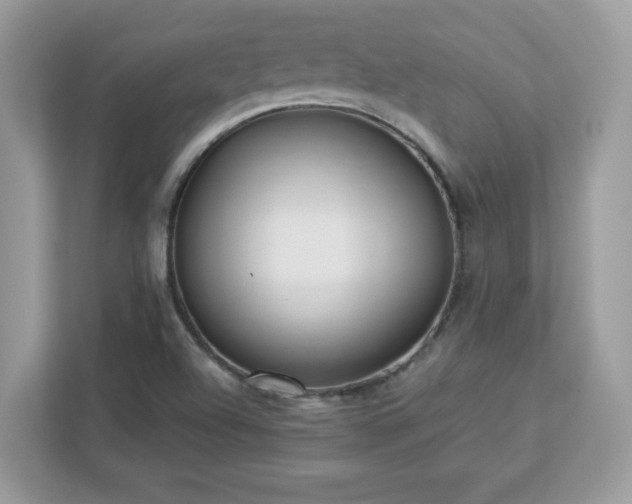X0000112941504200908241310