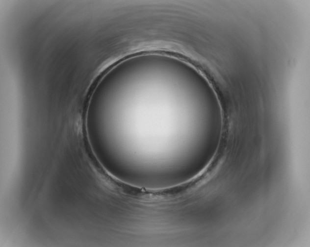 X0000112941505200908241310
