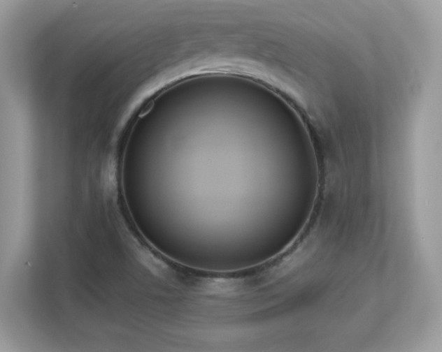 X0000112941506200908241310