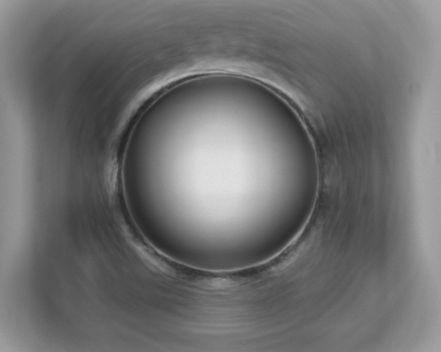 X0000112941507200908241310