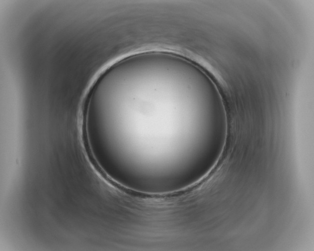 X0000112941508200908241310