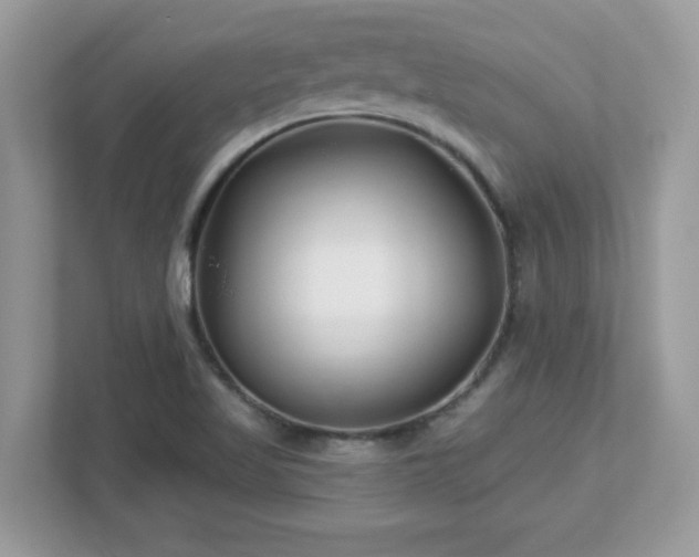 X0000112941509200908241310