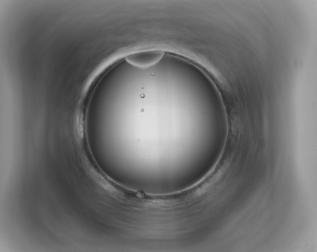 X0000112941510200908241310
