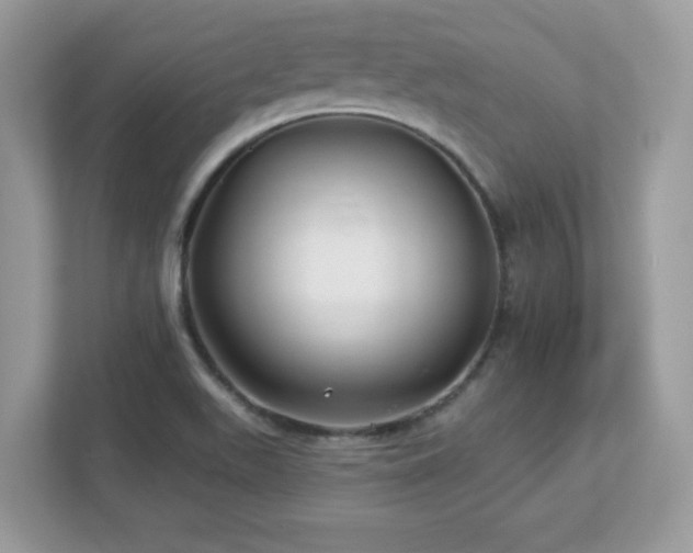 X0000112941511200908241310
