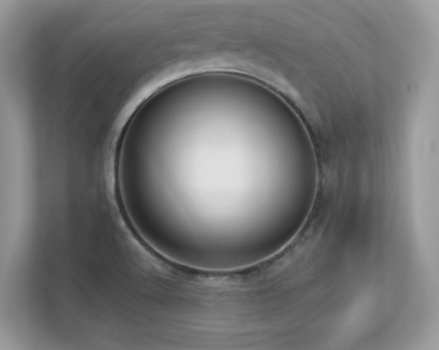 X0000112941512200908241310