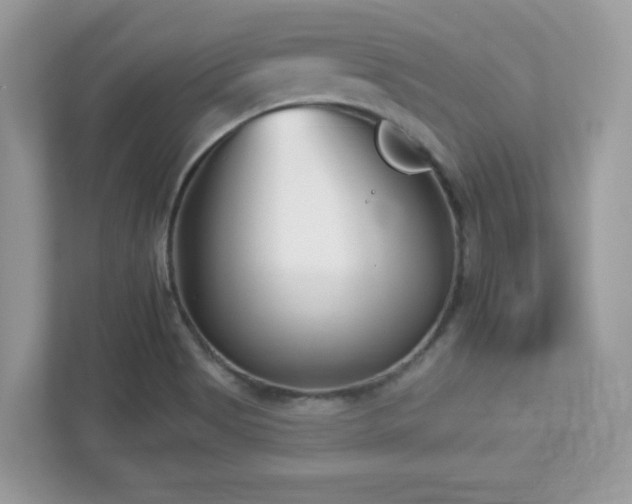 X0000112941513200908241310