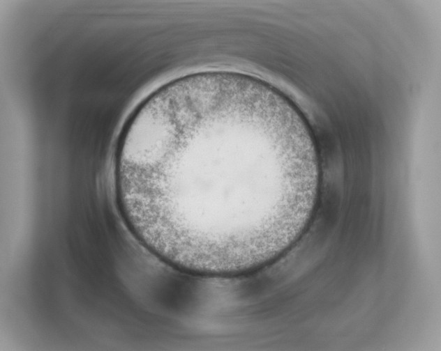 X0000112941514200908241310