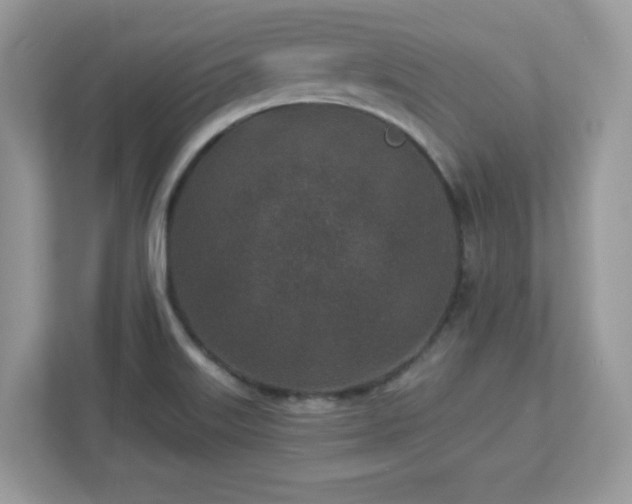 X0000112941515200908241310