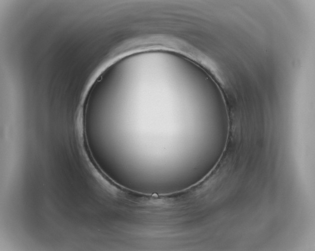 X0000112941516200908241310