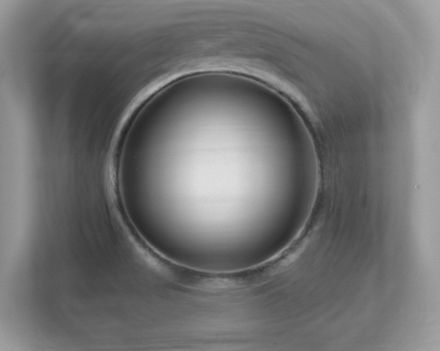 X0000112941517200908241310