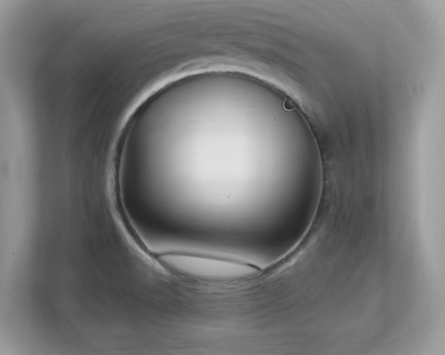 X0000112941518200908241310