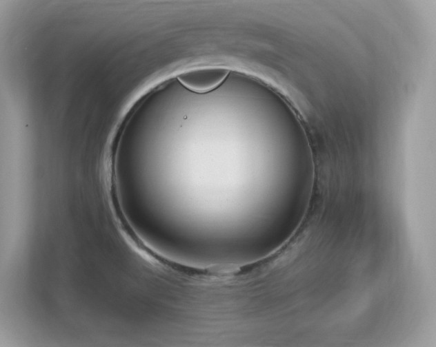X0000112941519200908241310