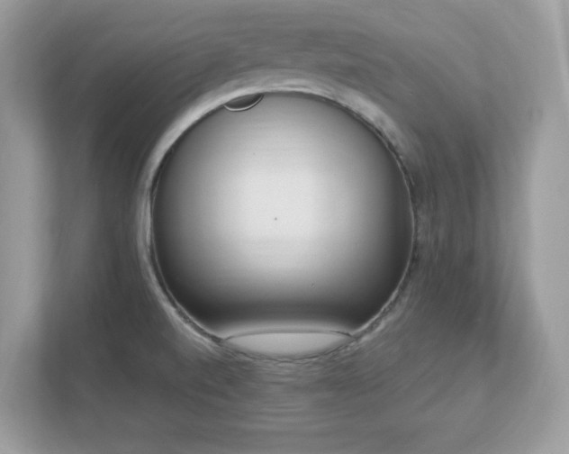 X0000112941520200908241310