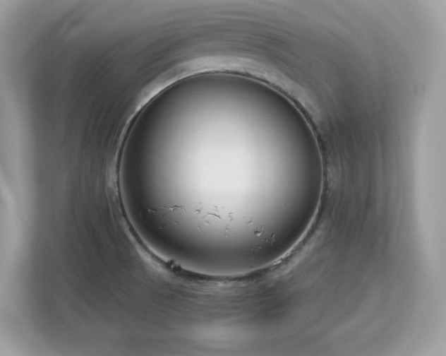X0000112941521200908241310