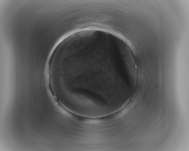 X0000112941522200908241310