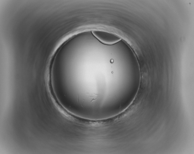 X0000112941523200908241310