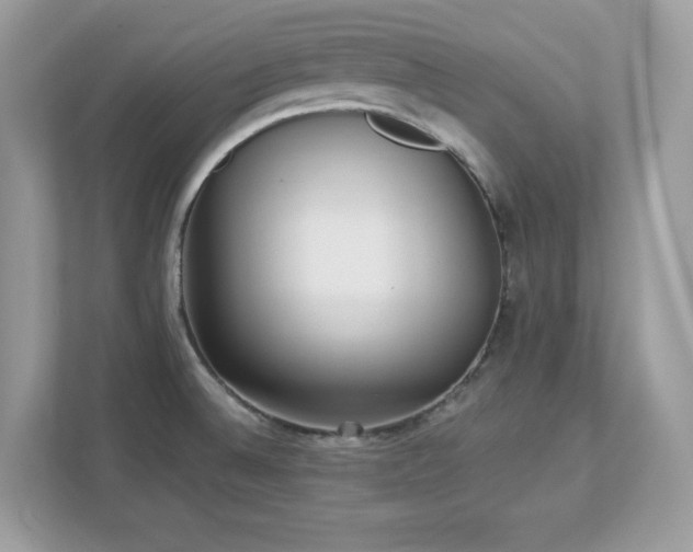 X0000112941524200908241310