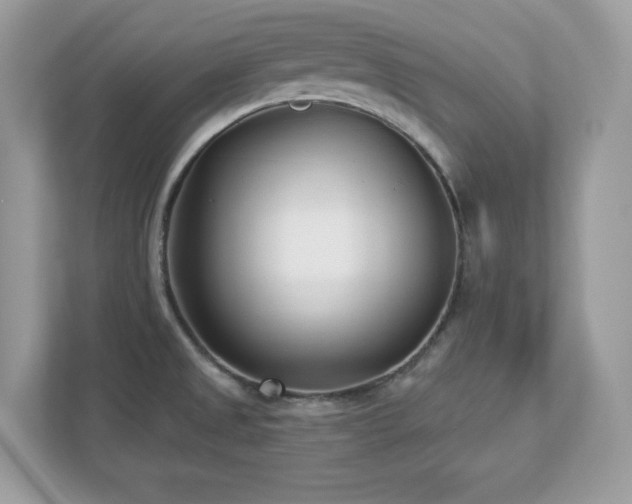 X0000112941525200908241310