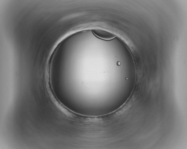 X0000112941526200908241310