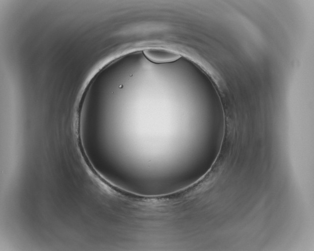 X0000112941527200908241310