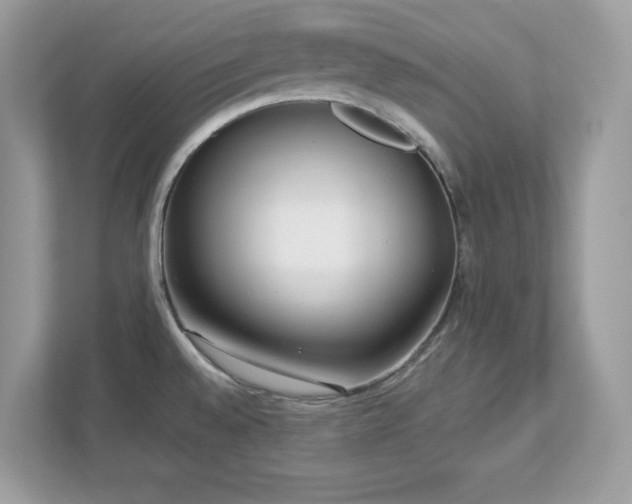 X0000112941528200908241310