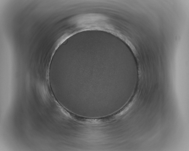 X0000112941529200908241310