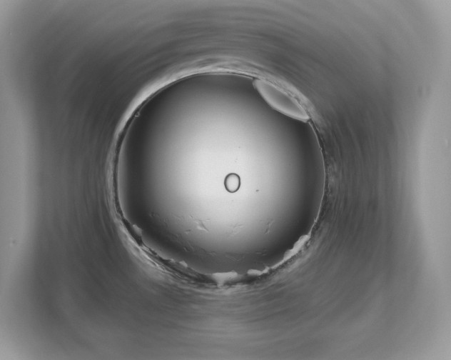 X0000112941530200908241310