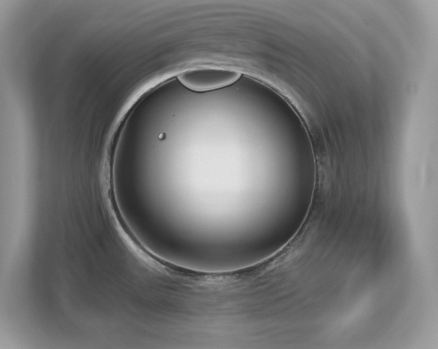 X0000112941531200908241310