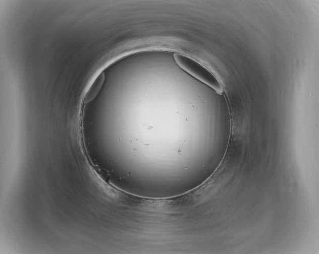 X0000112941532200908241310