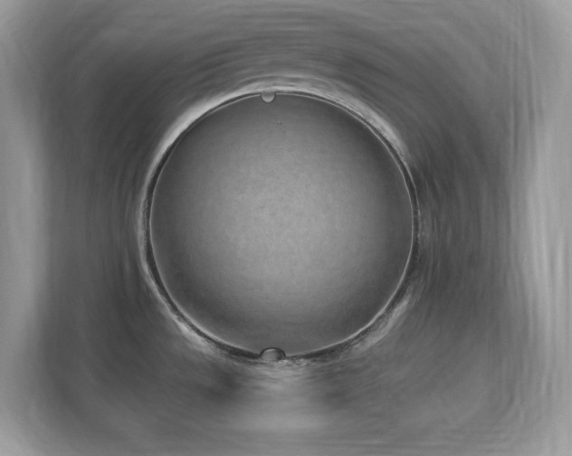 X0000112941533200908241310
