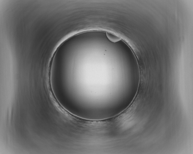 X0000112941534200908241310