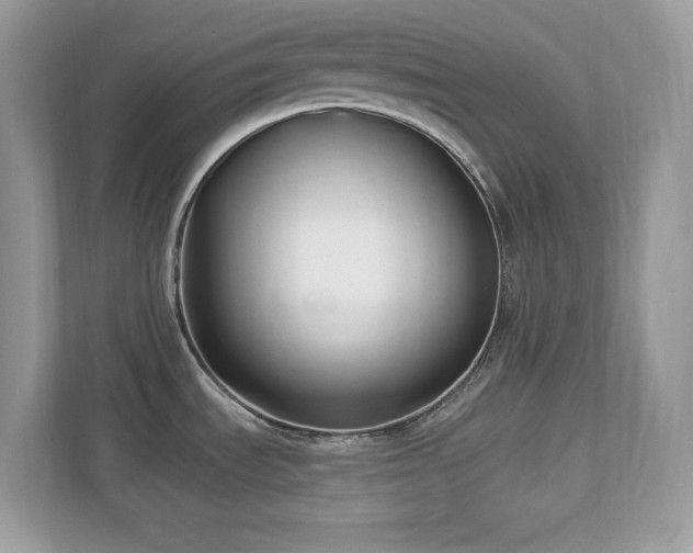 X0000112941535200908241310