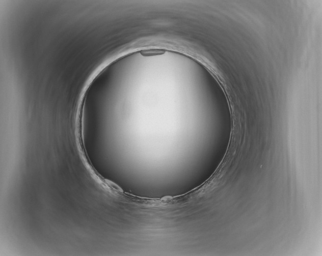 X0000112941536200908241310