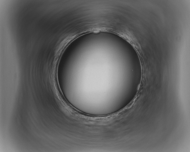 X0000112940001200908311458