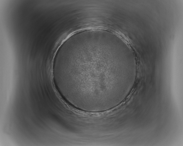 X0000112940002200908311458