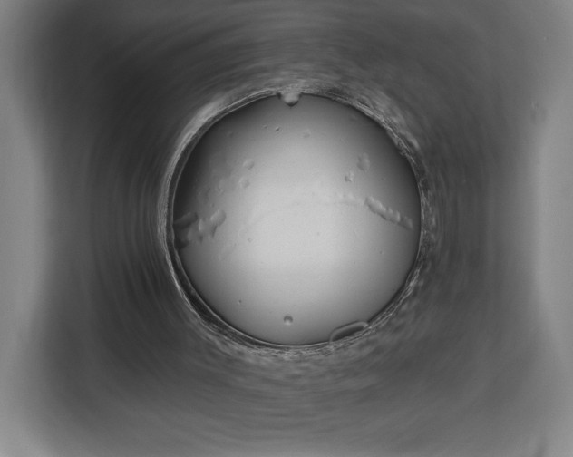 X0000112940003200908311458