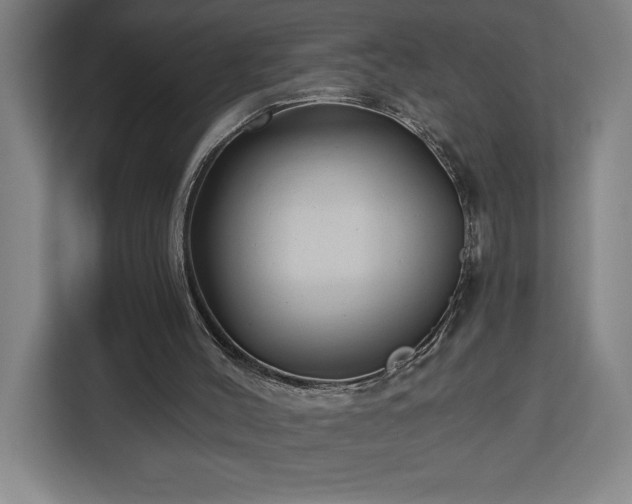 X0000112940004200908311458